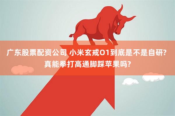 广东股票配资公司 小米玄戒O1到底是不是自研? 真能拳打高通脚踩苹果吗?